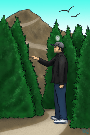 siraj-in-nature-resized